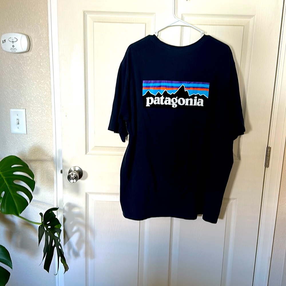 Patagonia tee